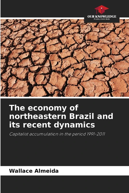 The economy of northeastern Brazil and its recent dynamics: Capitalist accumulation in the period 1991-2011