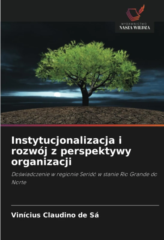 Instytucjonalizacja i rozwój z perspektywy organizacji: Doświadczenie w regionie Seridó w stanie Rio Grande do Norte - Image 1