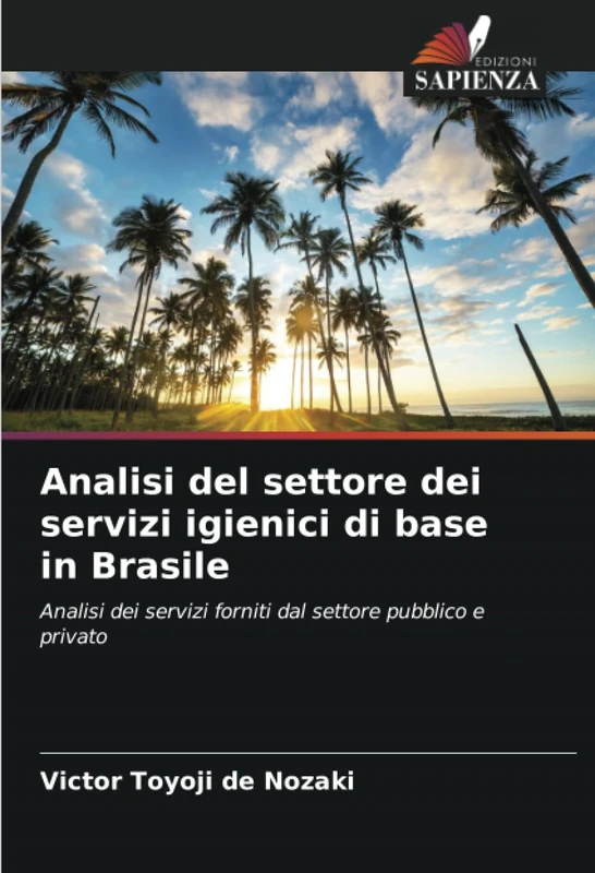 Analisi del settore dei servizi igienici di base in Brasile: Analisi dei servizi forniti dal settore pubblico e privato