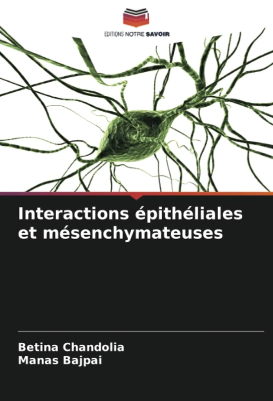 Interactions épithéliales et mésenchymateuses