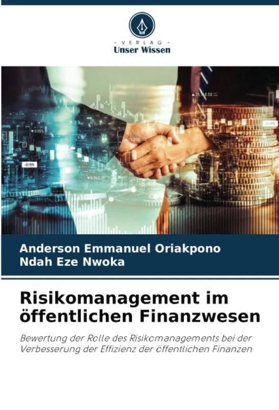 Risikomanagement im öffentlichen Finanzwesen: Bewertung der Rolle des Risikomanagements bei der Verbesserung der Effizienz der öffentlichen Finanzen