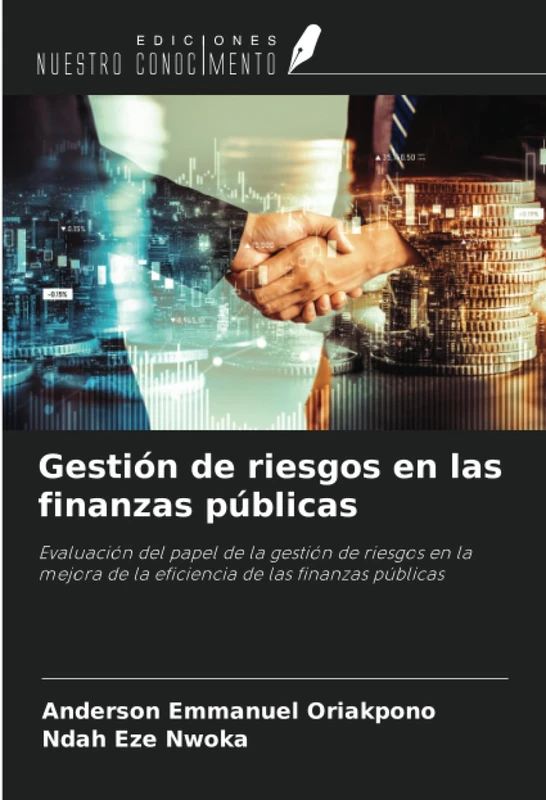 Gestión de riesgos en las finanzas públicas: Evaluación del papel de la gestión de riesgos en la mejora de la eficiencia de las finanzas públicas