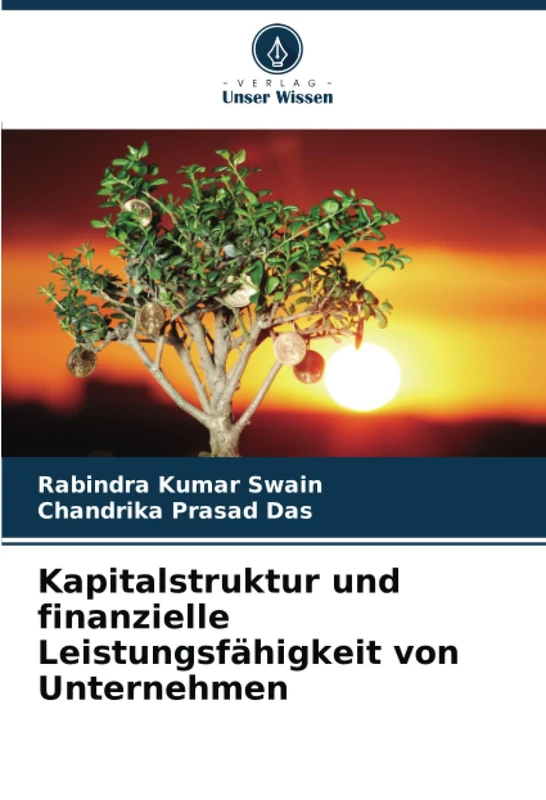 Kapitalstruktur und finanzielle Leistungsfähigkeit von Unternehmen