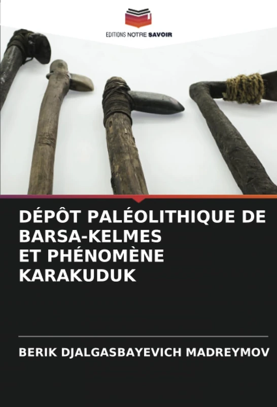 DÉPÔT PALÉOLITHIQUE DE BARSА-KELMES ET PHÉNOMÈNE KARAKUDUK - Image 1