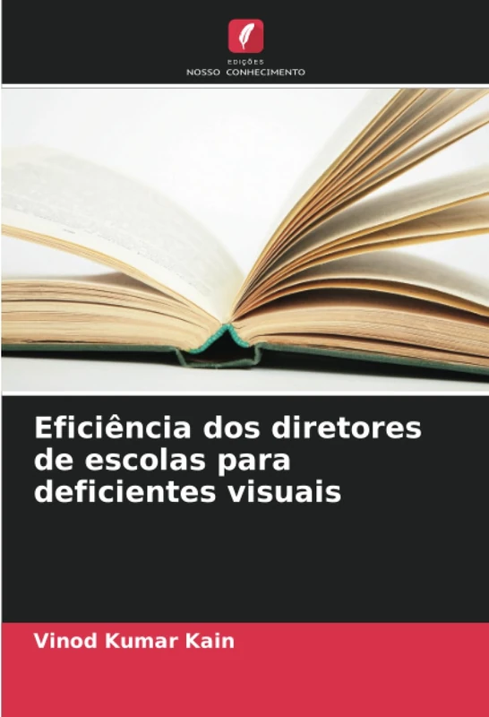 Eficiência dos diretores de escolas para deficientes visuais