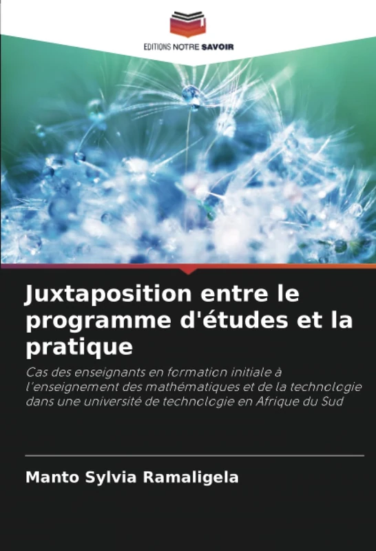 Juxtaposition entre le programme d'études et la pratique: Cas des enseignants en formation initiale à l'enseignement des mathématiques et de la ... université de technologie en Afrique du Sud