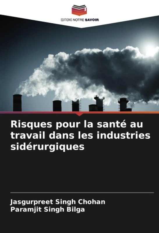 Risques pour la santé au travail dans les industries sidérurgiques - Image 1