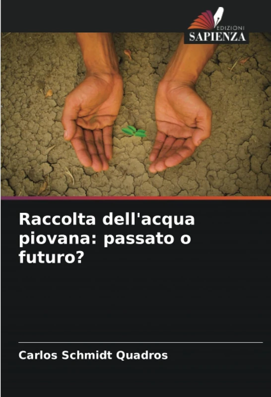 Raccolta dell'acqua piovana: passato o futuro?