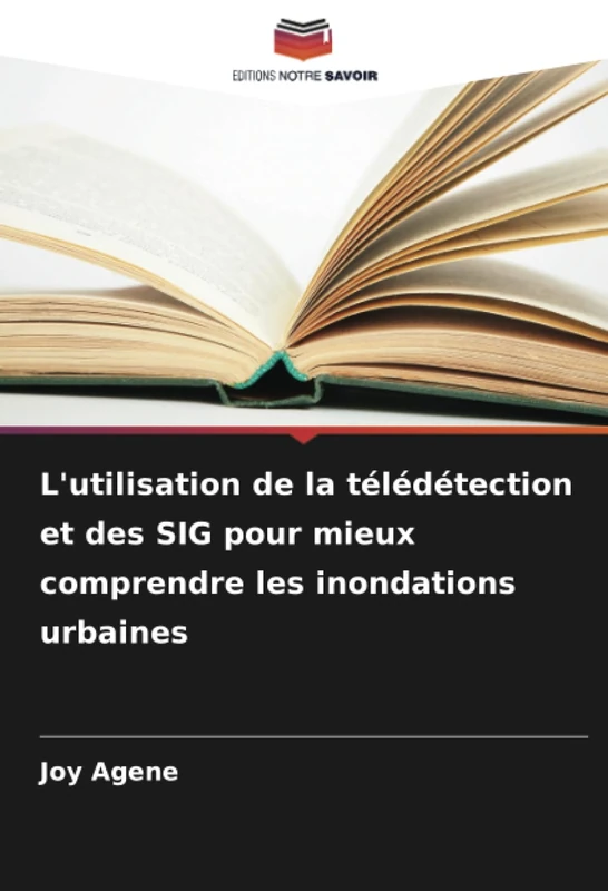 L'utilisation de la télédétection et des SIG pour mieux comprendre les inondations urbaines