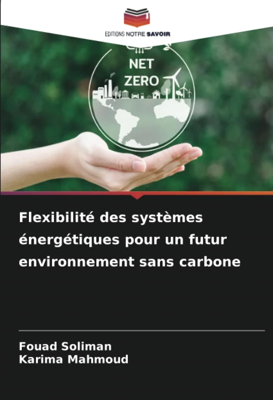 Flexibilité des systèmes énergétiques pour un futur environnement sans carbone
