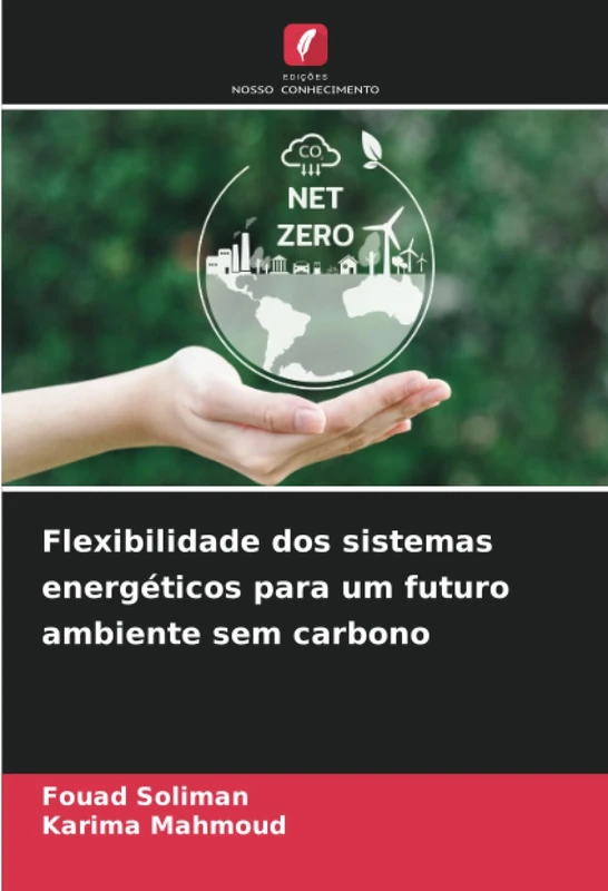 Flexibilidade dos sistemas energéticos para um futuro ambiente sem carbono