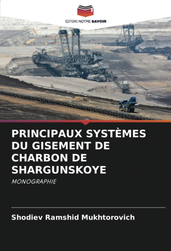 PRINCIPAUX SYSTÈMES DU GISEMENT DE CHARBON DE SHARGUNSKOYE: MONOGRAPHIE