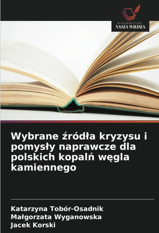 Wybrane źródła kryzysu i pomysły naprawcze dla polskich kopalń węgla kamiennego