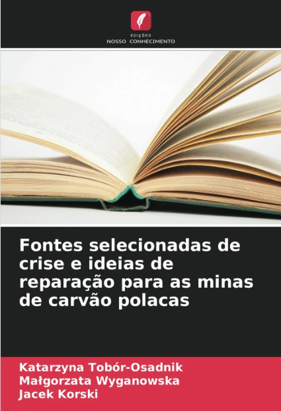 Fontes selecionadas de crise e ideias de reparação para as minas de carvão polacas