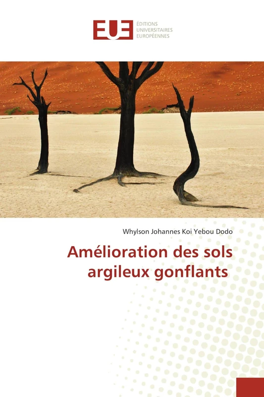 Amélioration des sols argileux gonflants - Image 1