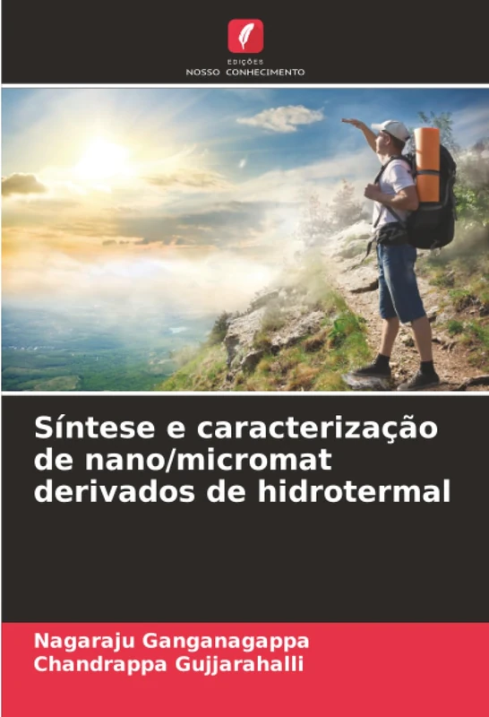 Síntese e caracterização de nano/micromat derivados de hidrotermal