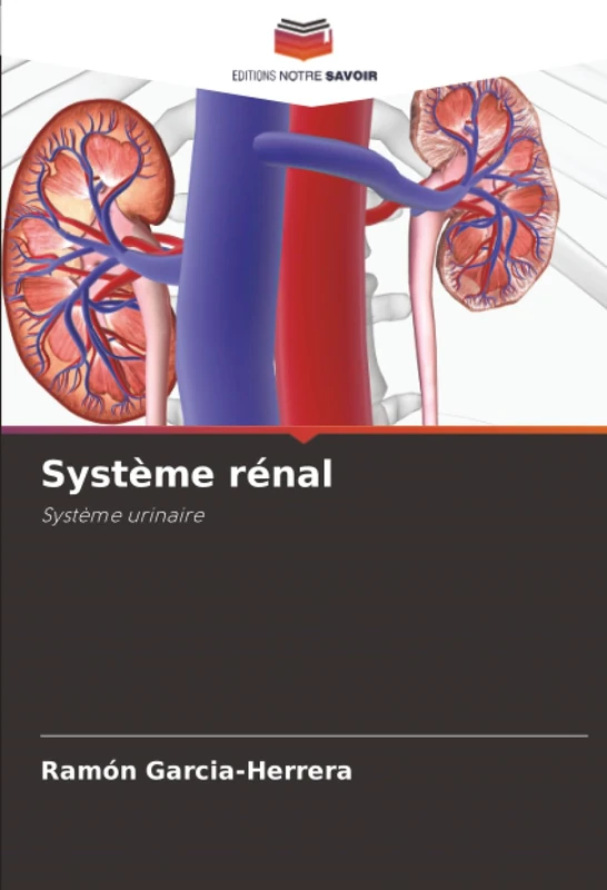 Système rénal: Système urinaire