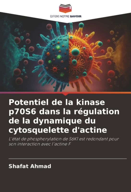 Potentiel de la kinase p70S6 dans la régulation de la dynamique du cytosquelette d'actine: L'état de phosphorylation de S6K1 est redondant pour son interaction avec l'actine F - Image 1