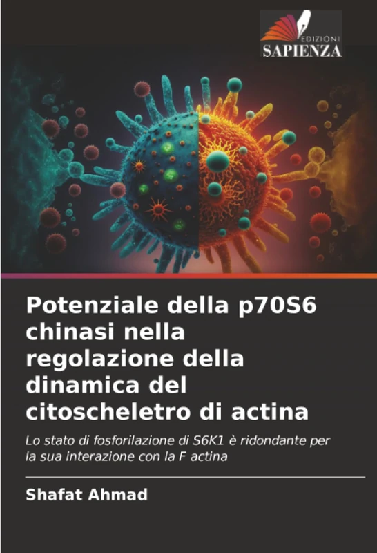 Potenziale della p70S6 chinasi nella regolazione della dinamica del citoscheletro di actina: Lo stato di fosforilazione di S6K1 è ridondante per la sua interazione con la F actina - Image 1