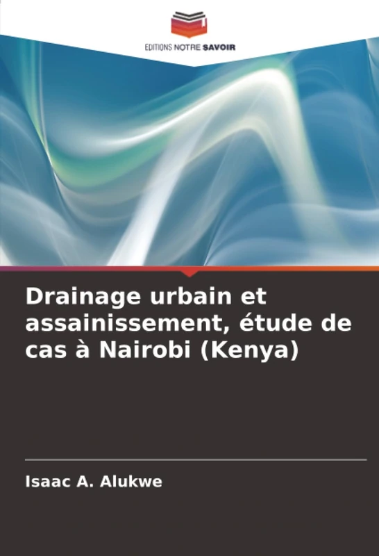 Drainage urbain et assainissement, étude de cas à Nairobi (Kenya) - Image 1