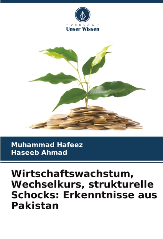 Wirtschaftswachstum, Wechselkurs, strukturelle Schocks: Erkenntnisse aus Pakistan