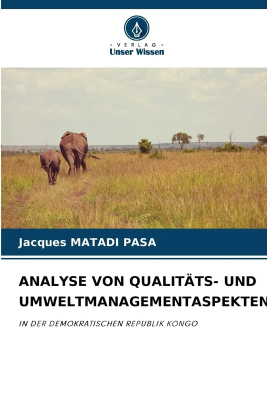 Analyse Von Qualitäts- Und Umweltmanagementaspekten: IN DER DEMOKRATISCHEN REPUBLIK KONGO