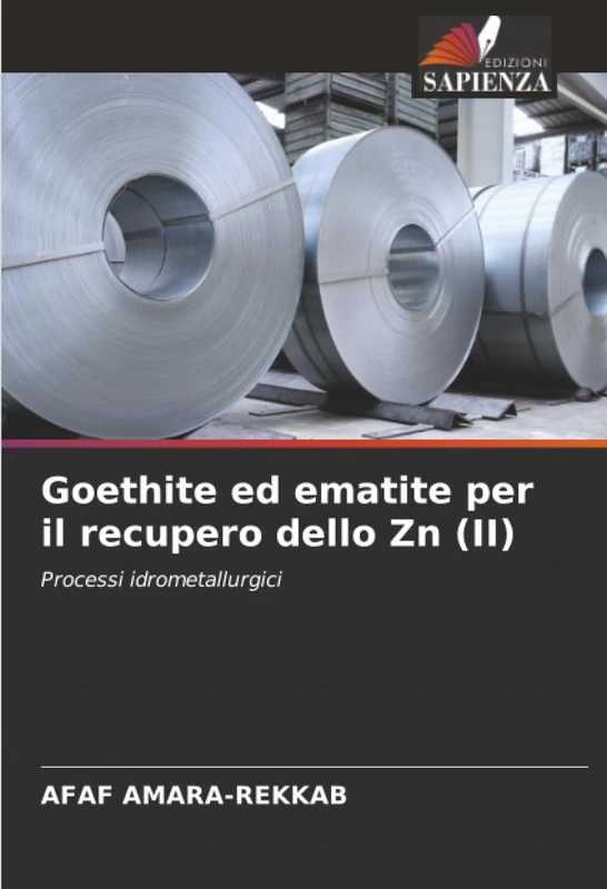 Goethite ed ematite per il recupero dello Zn (II): Processi idrometallurgici