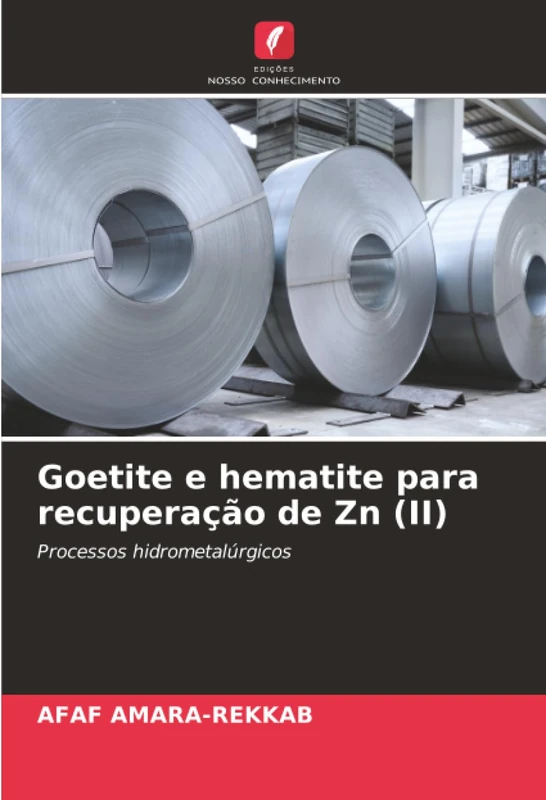 Goetite e hematite para recuperação de Zn (II): Processos hidrometalúrgicos