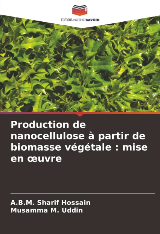 Production de nanocellulose à partir de biomasse végétale : mise en œuvre: mise en oeuvre