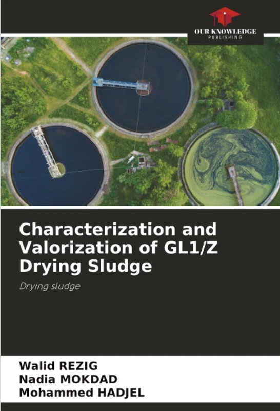 Characterization and Valorization of GL1/Z Drying Sludge: Drying sludge