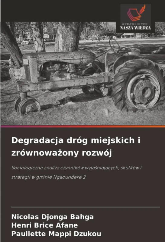 Degradacja dróg miejskich i zrównoważony rozwój: Socjologiczna analiza czynników wyjaśniających, skutków i strategii w gminie Ngaoundere 2 - Image 1