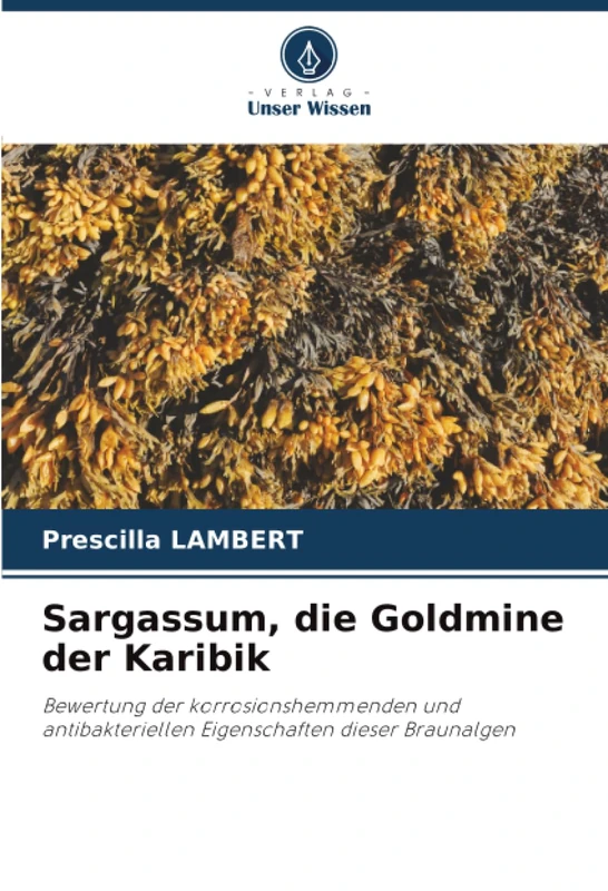 Sargassum, die Goldmine der Karibik: Bewertung der korrosionshemmenden und antibakteriellen Eigenschaften dieser Braunalgen - Image 1