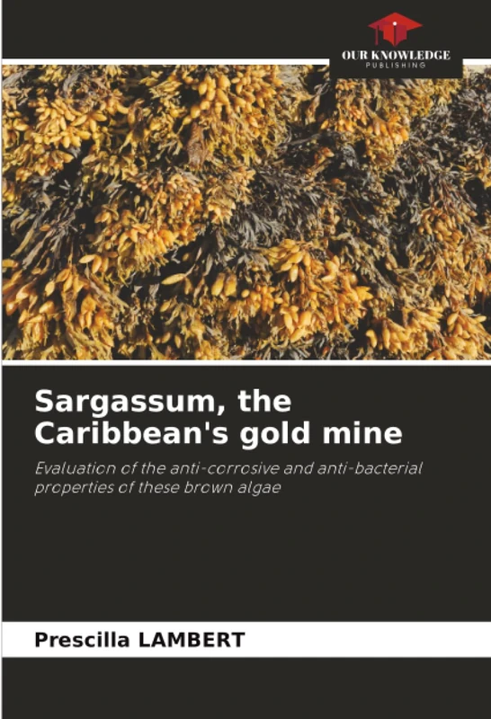 Sargassum, the Caribbean's gold mine: Evaluation of the anti-corrosive and anti-bacterial properties of these brown algae - Image 1