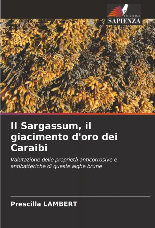 Il Sargassum, il giacimento d'oro dei Caraibi: Valutazione delle proprietà anticorrosive e antibatteriche di queste alghe brune - Image 1