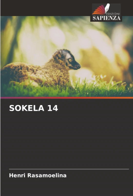 SOKELA 14 - Image 1