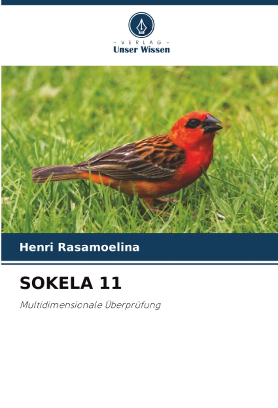 SOKELA 11: Multidimensionale Überprüfung