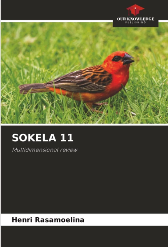 SOKELA 11: Multidimensional review