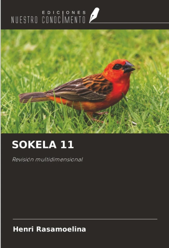 SOKELA 11: Revisión multidimensional