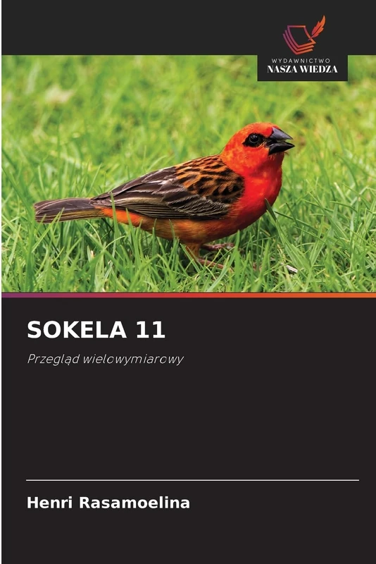 SOKELA 11: Przegląd wielowymiarowy - Image 1