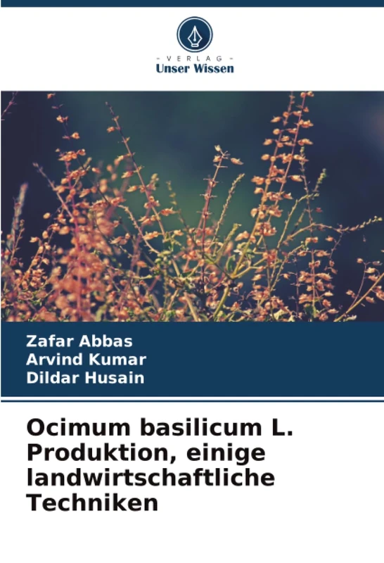 Ocimum basilicum L. Produktion, einige landwirtschaftliche Techniken