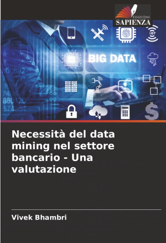 Necessità del data mining nel settore bancario - Una valutazione