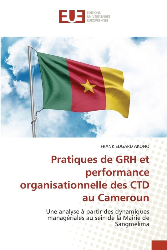 Pratiques de GRH et performance organisationnelle des CTD au Cameroun: Une analyse à partir des dynamiques managériales au sein de la Mairie de Sangmelima