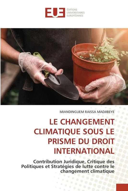 LE CHANGEMENT CLIMATIQUE SOUS LE PRISME DU DROIT INTERNATIONAL: Contribution Juridique, Critique des Politiques et Stratégies de lutte contre le changement climatique