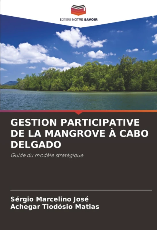 GESTION PARTICIPATIVE DE LA MANGROVE À CABO DELGADO: Guide du modèle stratégique