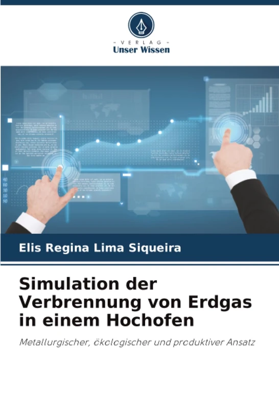 Simulation der Verbrennung von Erdgas in einem Hochofen: Metallurgischer, ökologischer und produktiver Ansatz - Image 1
