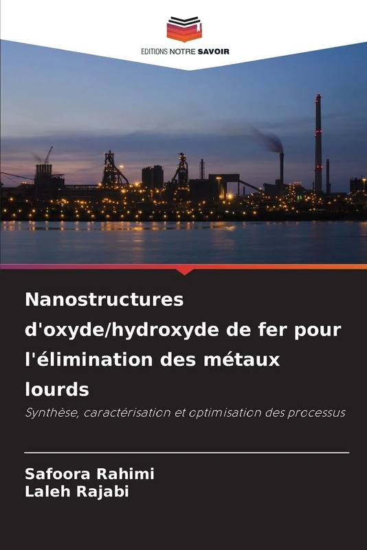 Nanostructures d'oxyde/hydroxyde de fer pour l'élimination des métaux lourds: Synthèse, caractérisation et optimisation des processus