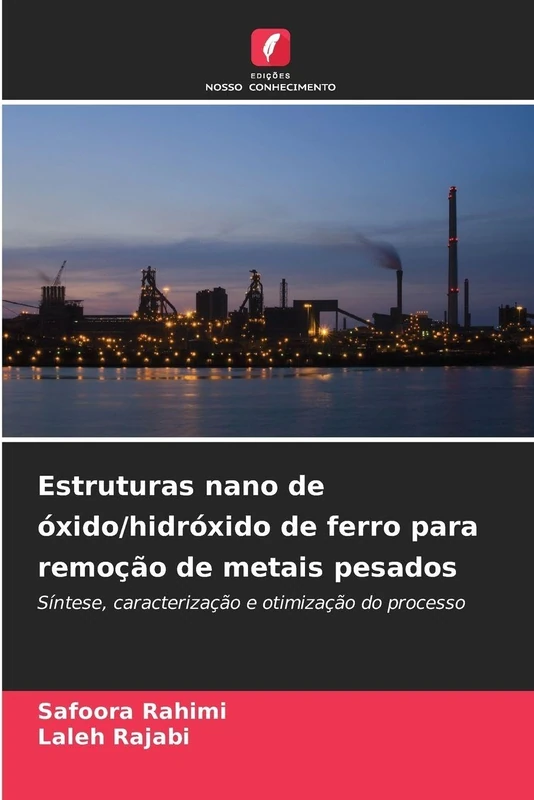 Estruturas nano de óxido/hidróxido de ferro para remoção de metais pesados: Síntese, caracterização e otimização do processo