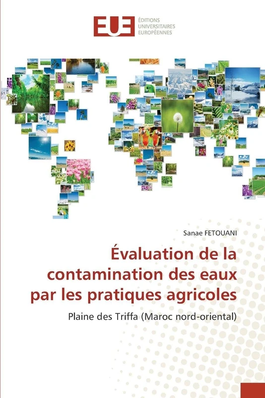 Évaluation de la contamination des eaux par les pratiques agricoles: Plaine des Triffa (Maroc nord-oriental)
