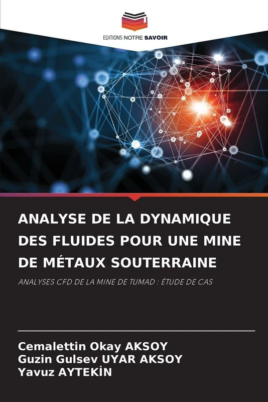 Analyse de la Dynamique Des Fluides Pour Une Mine de Métaux Souterraine: ANALYSES CFD DE LA MINE DE TUMAD : ÉTUDE DE CAS