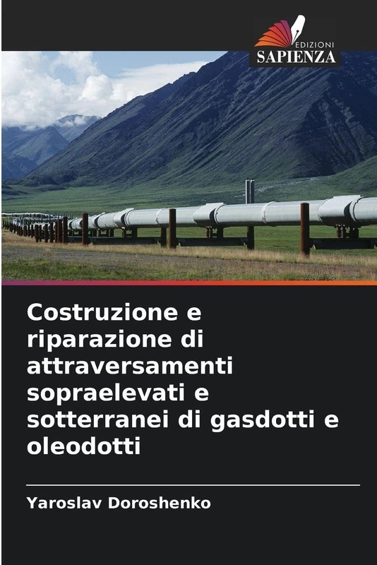 Costruzione e riparazione di attraversamenti sopraelevati e sotterranei di gasdotti e oleodotti